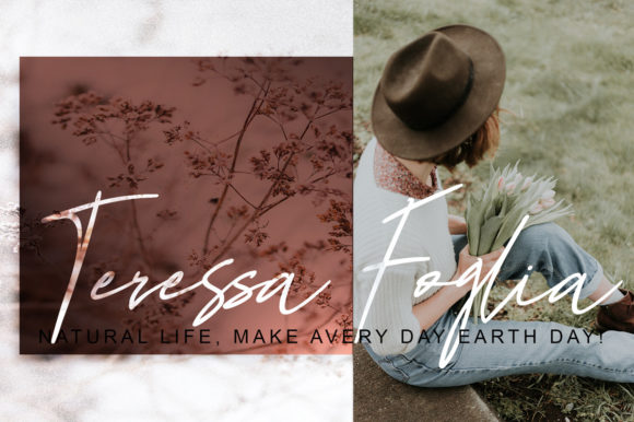 Billya Palm Font - Preview 2