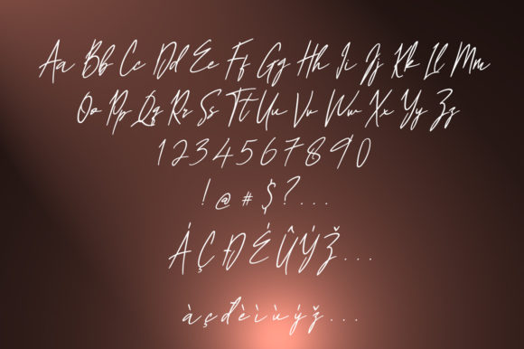 Billya Palm Font - Preview 4