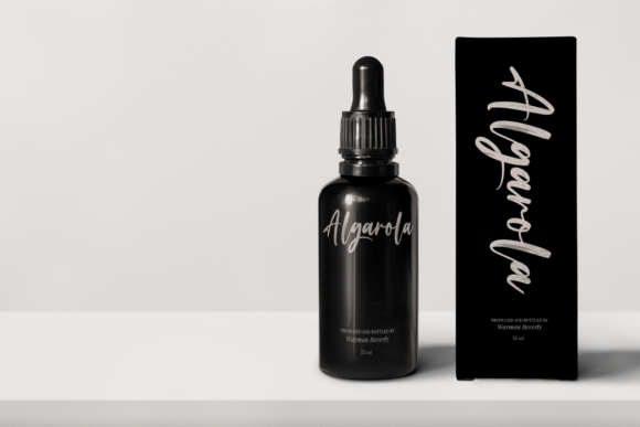 Brush Signature Font - Preview 3