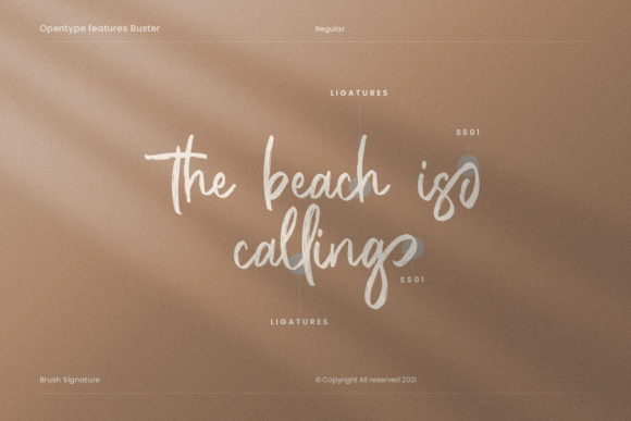 Buster Brush Signature Font - Preview 5