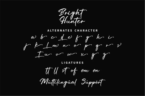 Bright Hunter Font - Preview 3