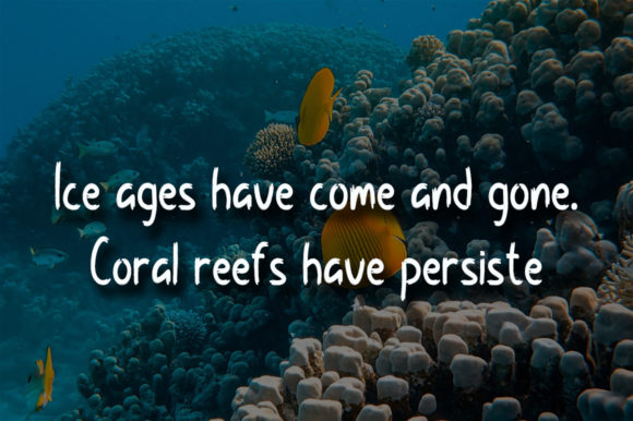 Coral Reef Font - Preview 1