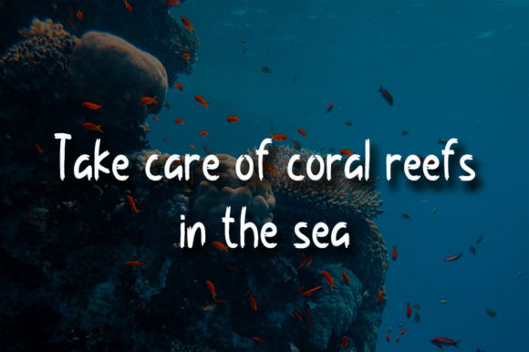 Coral Reef Font - Preview 2