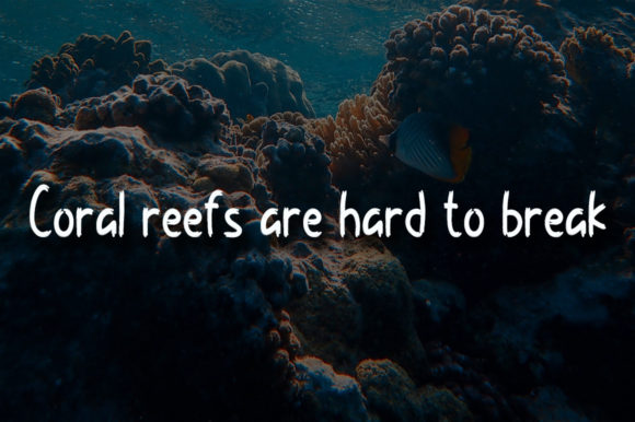Coral Reef Font - Preview 3
