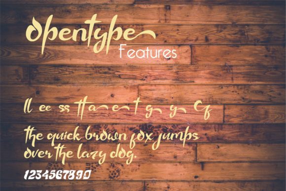 Debt Collect Font PNG with transparent background - Preview 4