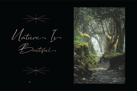 Sigustil Font PNG with transparent background - Preview 5