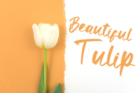 Antte Milla Font - Preview 3