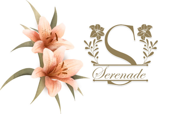 Beauty Lily Line Monogram Font PNG with transparent background - Preview 1
