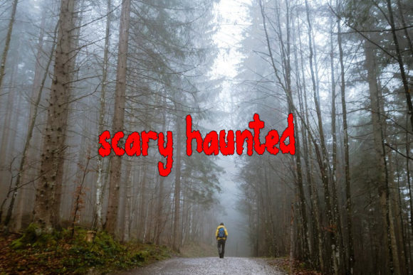 Forest Ghost Font PNG with transparent background - Preview 1
