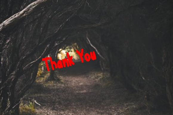 Forest Ghost Font PNG with transparent background - Preview 3