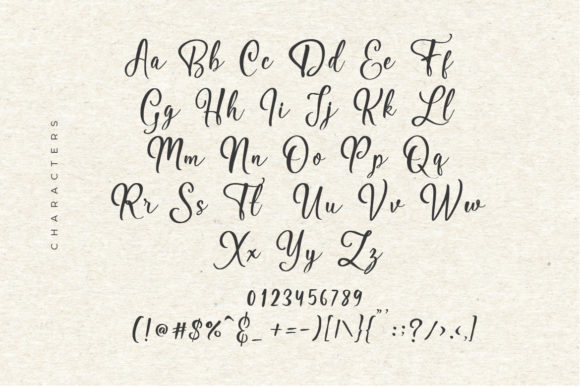 Hildegard Script Font - Preview 4