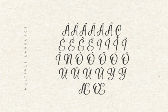 Hildegard Script Font - Preview 6