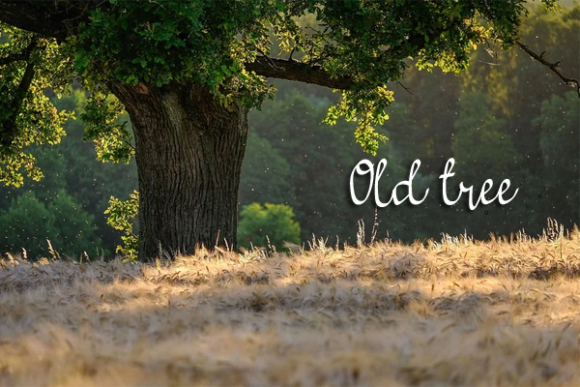 Landskap Font PNG with transparent background - Preview 1