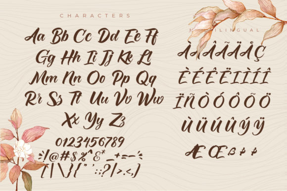 Monicha Script Font PNG with transparent background - Preview 1