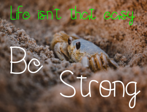 Parramellow Font PNG with transparent background - Preview 4