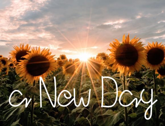 Parramellow Font PNG with transparent background - Preview 5