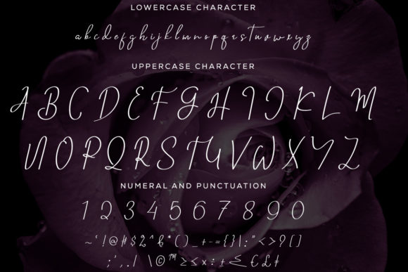 Fingertipz Font - Preview 6