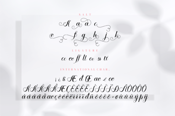 Agatha Setyna Font - Preview 6