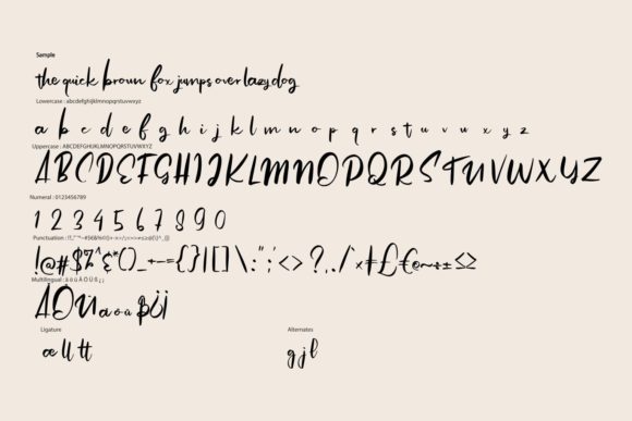 Angolia Script Font - Preview 5