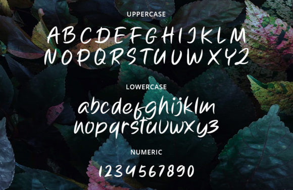 Balica Font - Preview 2