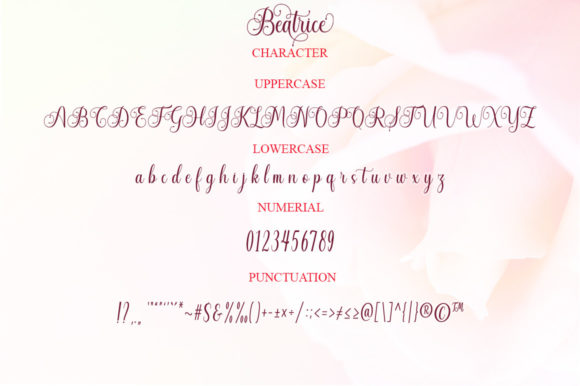 Beatrice Font - Preview 3