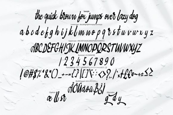 Bigtedy Script Font - Preview 5