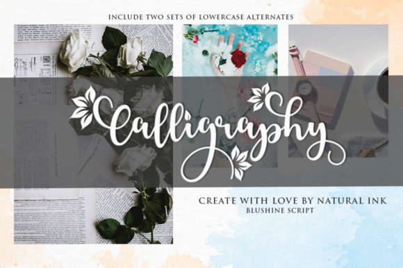 Blushine Script Font - Preview 1
