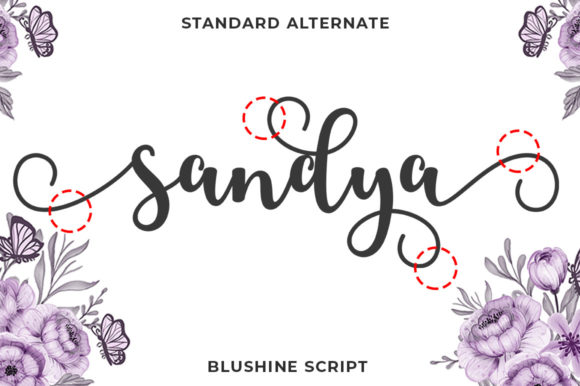 Blushine Script Font - Preview 2