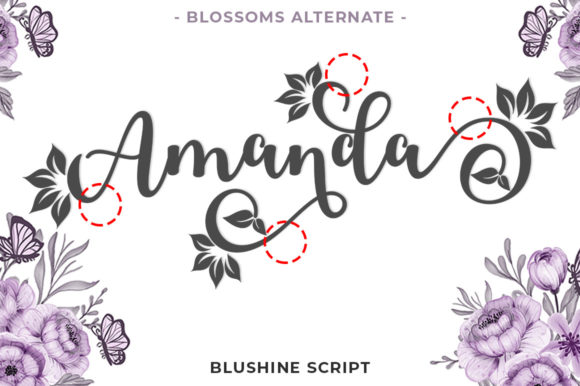 Blushine Script Font - Preview 3
