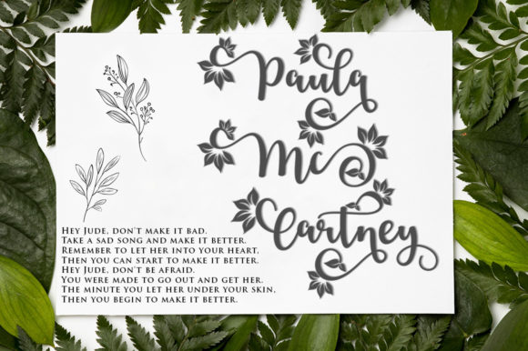 Blushine Script Font - Preview 4