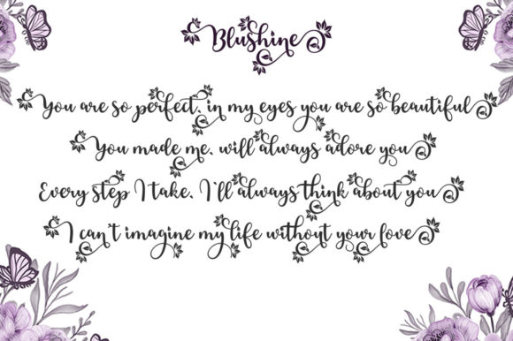 Blushine Script Font - Preview 5