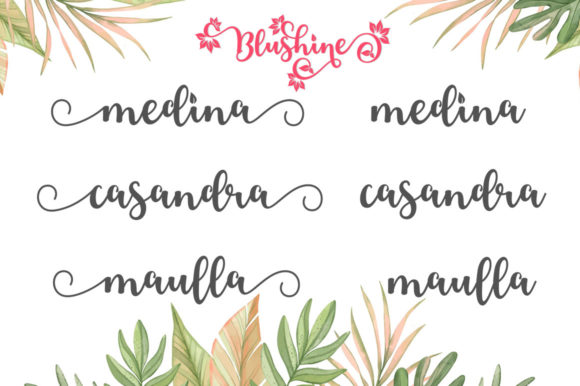 Blushine Script Font - Preview 6