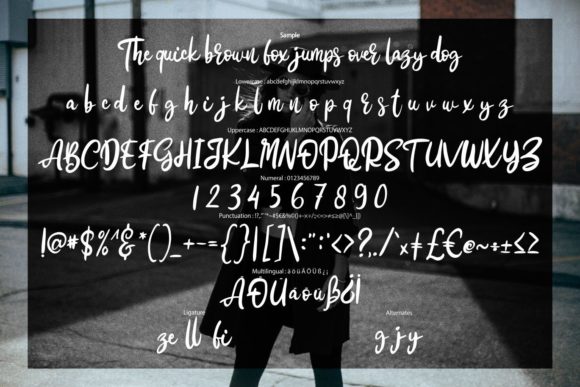 Cestroy Script Font - Preview 5