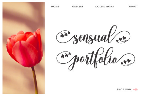 Gracilea Script Font - Preview 5