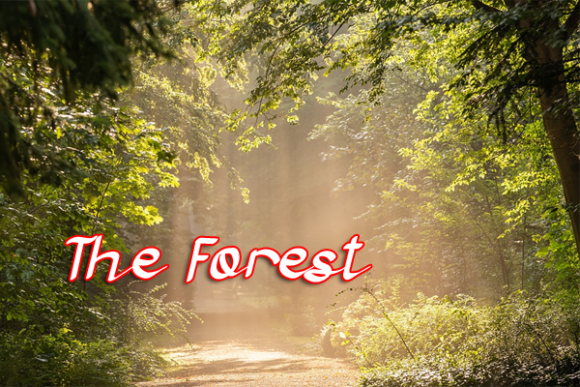 Harvess Story Font PNG with transparent background - Preview 2
