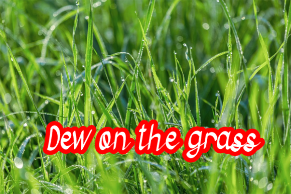Harvess Story Font PNG with transparent background - Preview 3