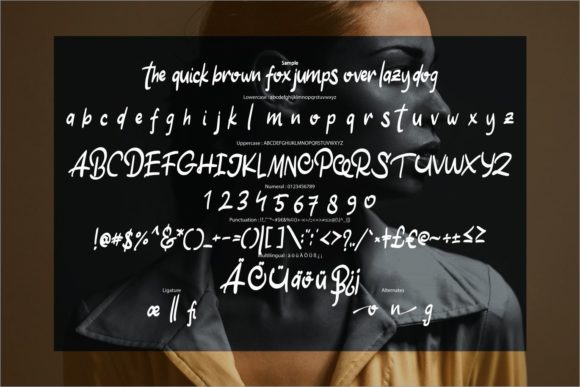 Oston Font font preview - 5