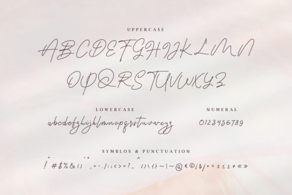 Anastasia Signature Font - Preview 1