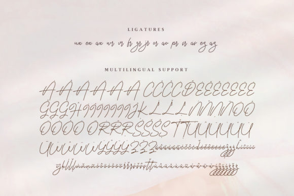 Anastasia Signature Font - Preview 2