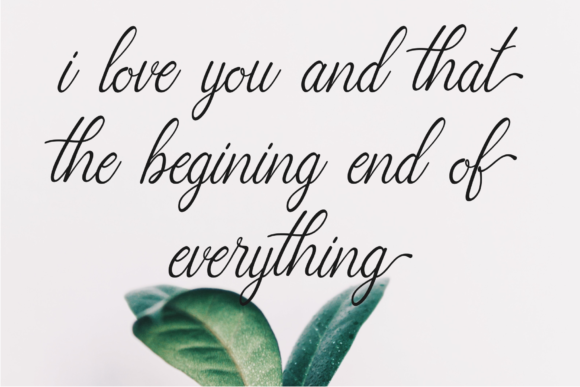 Charlote Script Font - Preview 1