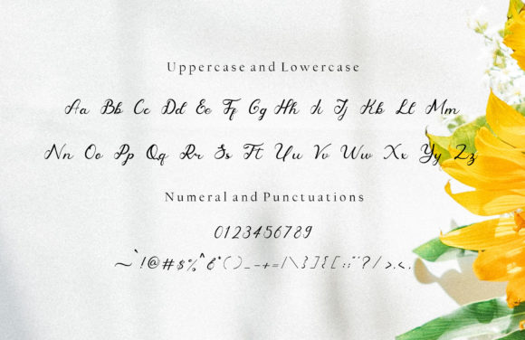 Dandelyon Font - Preview 4