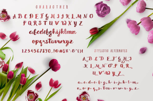 Lativa Font PNG with transparent background - Preview 1