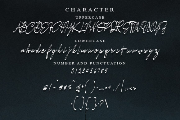 Shot Signature Font PNG with transparent background - Preview 3
