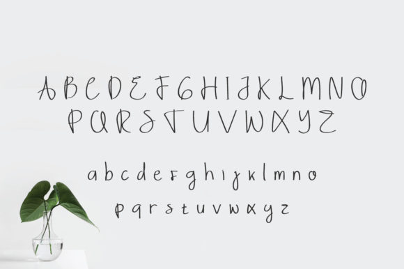 Ayya Font - Preview 1