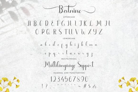 Bestnine Font - Preview 3