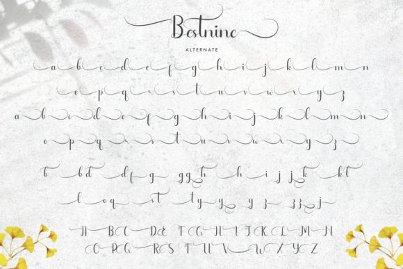 Bestnine Font - Preview 5