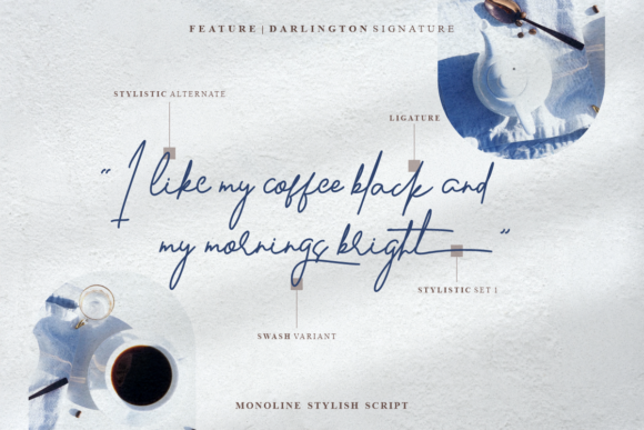 Darlington Signature Font - Preview 1