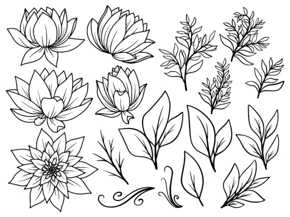 Flowers Line Art Graphic Illustrations By PurMoon