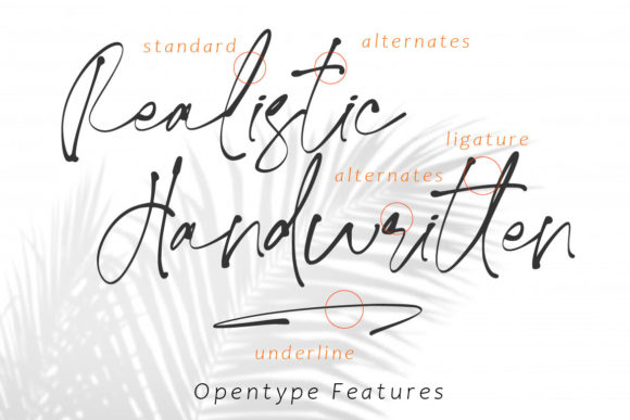 Ivory Coast Font - Preview 6