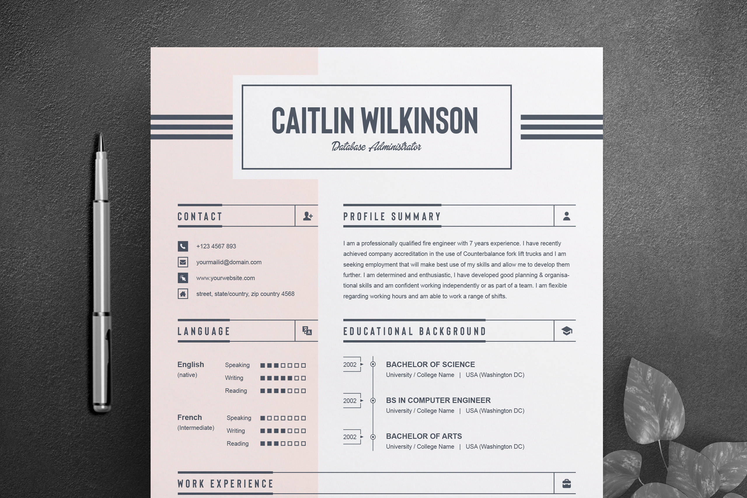 Job Resume CV Word Template Graphic by ResumeInventor · Creative Fabrica